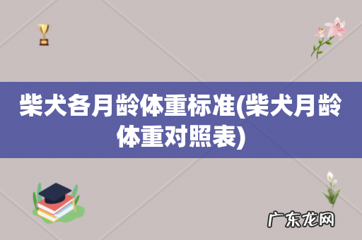 柴犬月龄体重对照表 柴犬各月龄体重标准