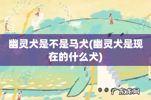 幽灵犬是现在的什么犬 幽灵犬是不是马犬