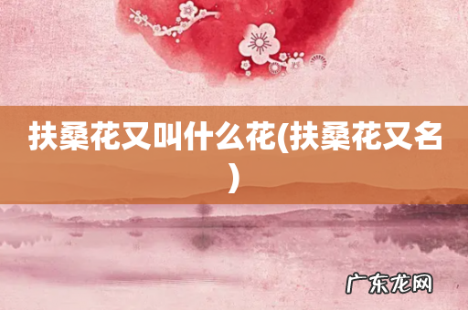 扶桑花又名 扶桑花又叫什么花