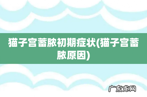 猫子宫蓄脓原因 猫子宫蓄脓初期症状