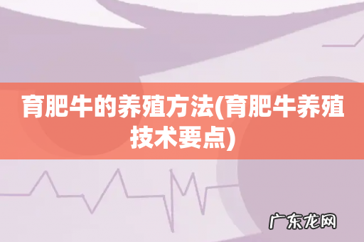 育肥牛养殖技术要点 育肥牛的养殖方法