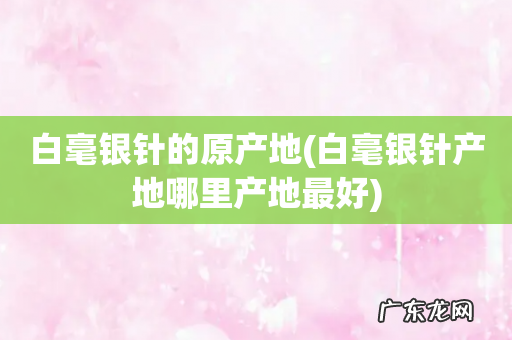 白毫银针产地哪里产地最好 白毫银针的原产地