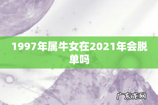 1997年属牛女在2021年会脱单吗