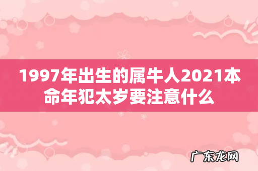 1997年出生的属牛人2021本命年犯太岁要注意什么