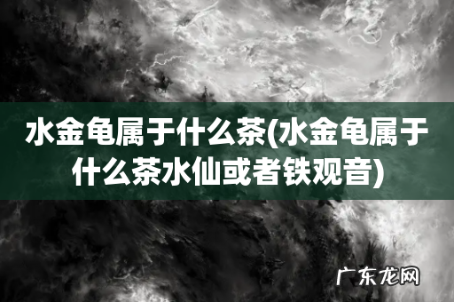 水金龟属于什么茶水仙或者铁观音 水金龟属于什么茶