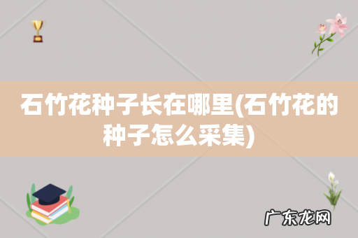 石竹花的种子怎么采集 石竹花种子长在哪里