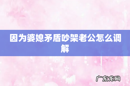 因为婆媳矛盾吵架老公怎么调解