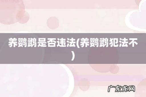 养鹦鹉犯法不 养鹦鹉是否违法