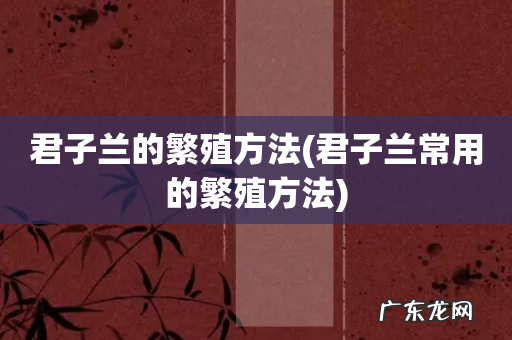 君子兰常用的繁殖方法 君子兰的繁殖方法