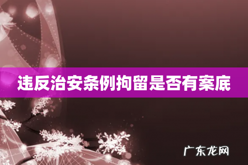 违反治安条例拘留是否有案底