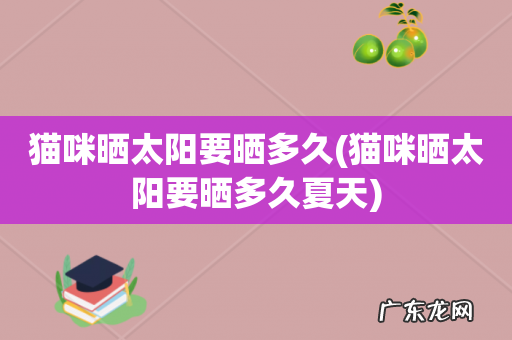 猫咪晒太阳要晒多久夏天 猫咪晒太阳要晒多久