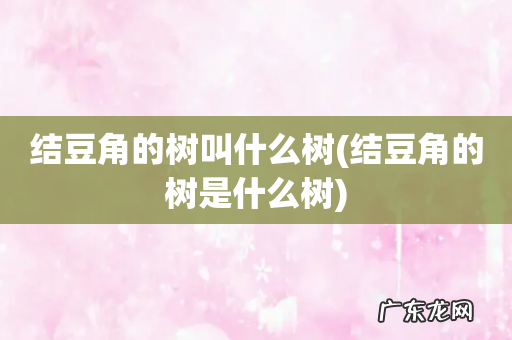 结豆角的树是什么树 结豆角的树叫什么树