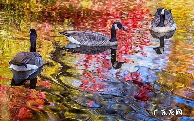 室内水下摄影 微风水下摄影