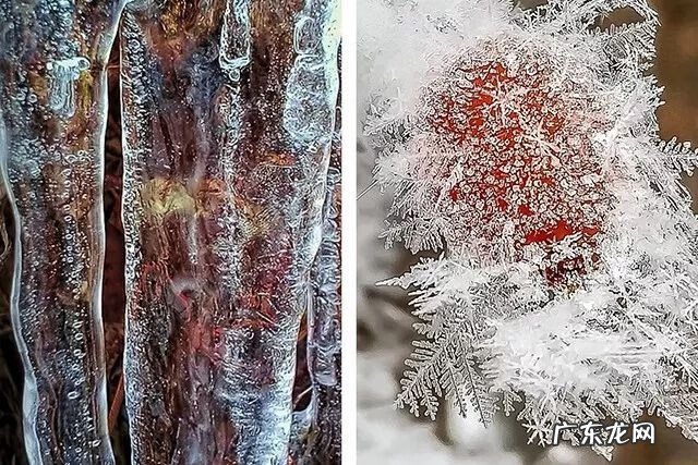 室内水下摄影 微风水下摄影