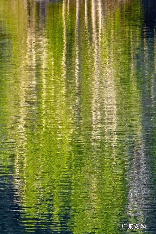 室内水下摄影 微风水下摄影