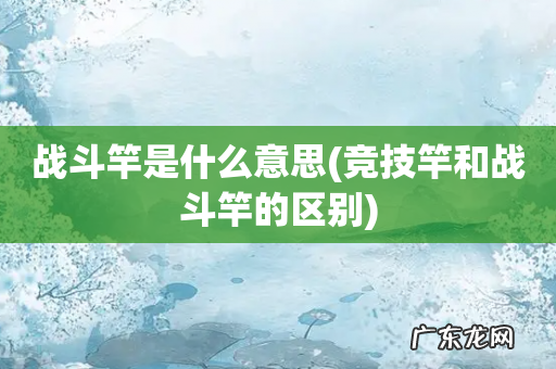 竞技竿和战斗竿的区别 战斗竿是什么意思