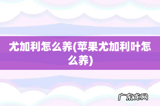 苹果尤加利叶怎么养 尤加利怎么养
