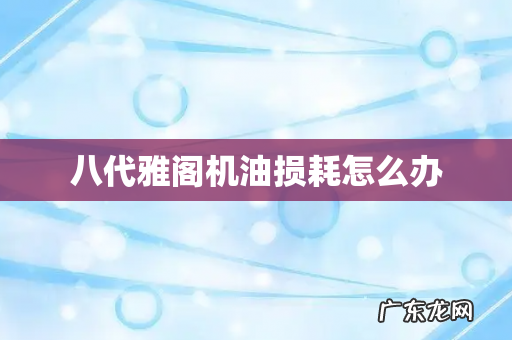 八代雅阁机油损耗怎么办