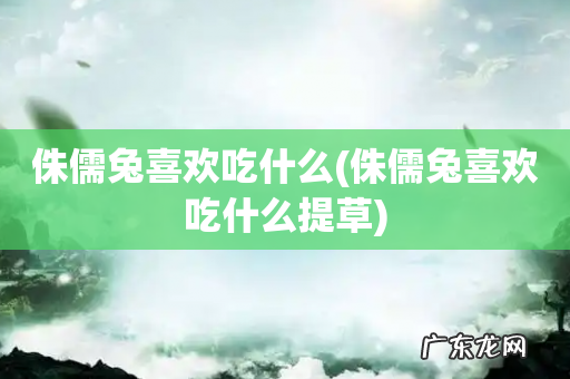 侏儒兔喜欢吃什么提草 侏儒兔喜欢吃什么