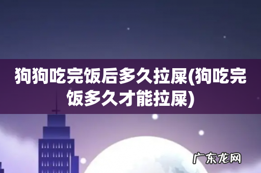 狗吃完饭多久才能拉屎 狗狗吃完饭后多久拉屎