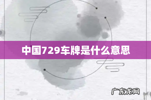 中国729车牌是什么意思