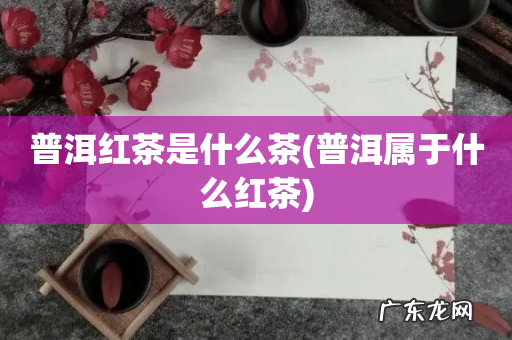 普洱属于什么红茶 普洱红茶是什么茶