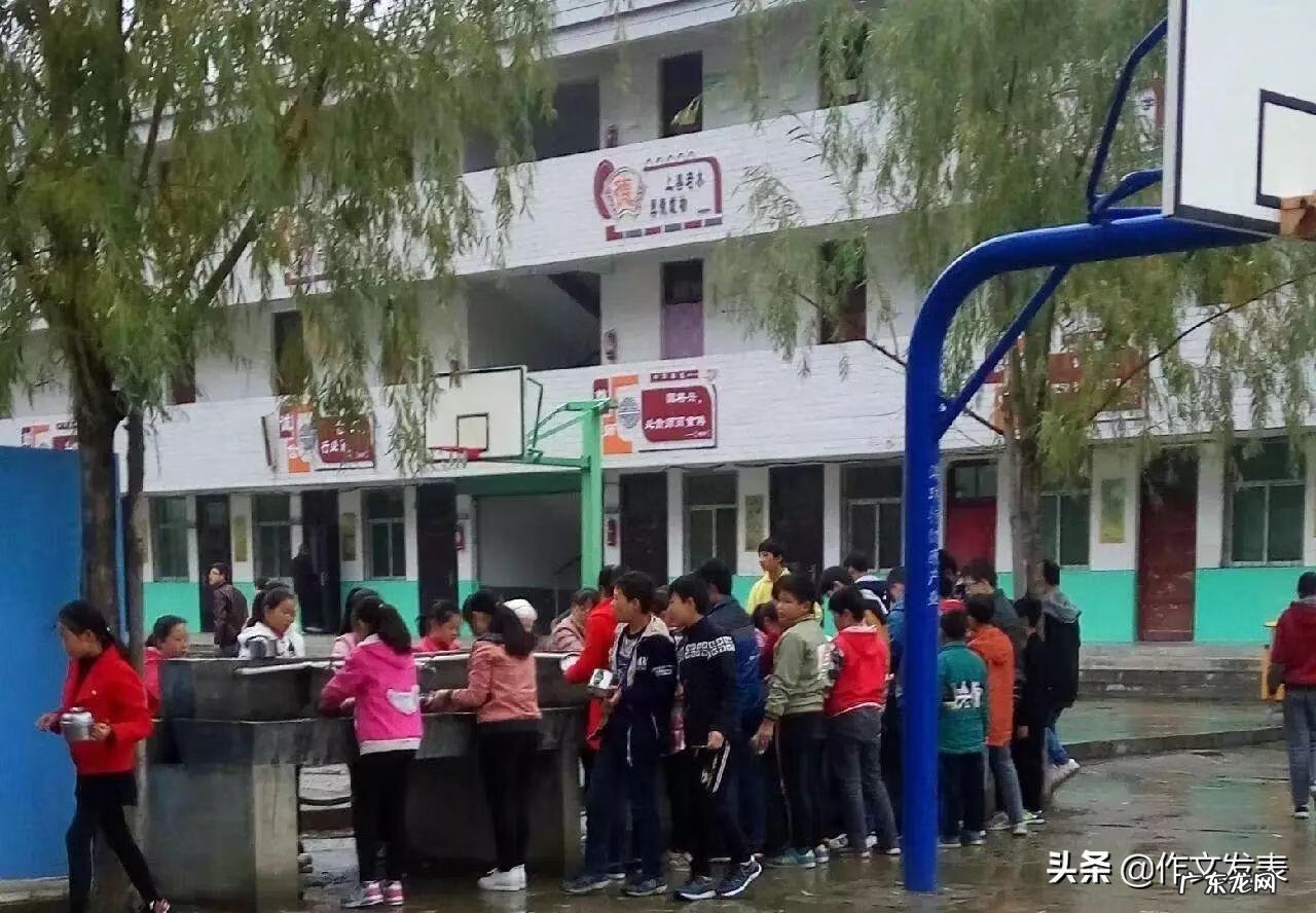 工作中学会宽容 学会宽容作文