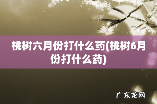 桃树6月份打什么药 桃树六月份打什么药