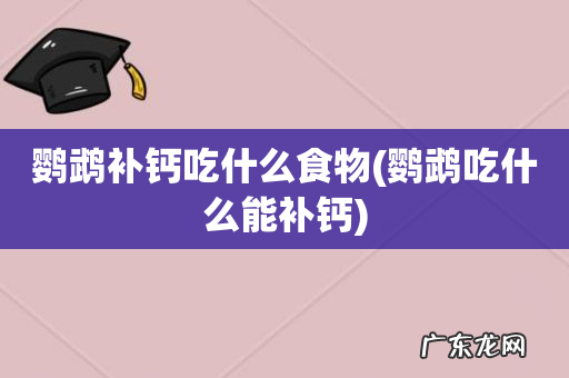 鹦鹉吃什么能补钙 鹦鹉补钙吃什么食物