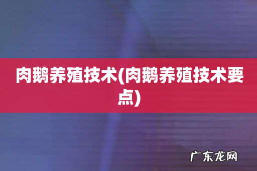 肉鹅养殖技术要点 肉鹅养殖技术