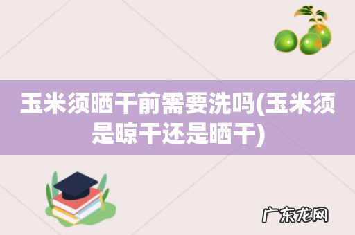 玉米须是晾干还是晒干 玉米须晒干前需要洗吗