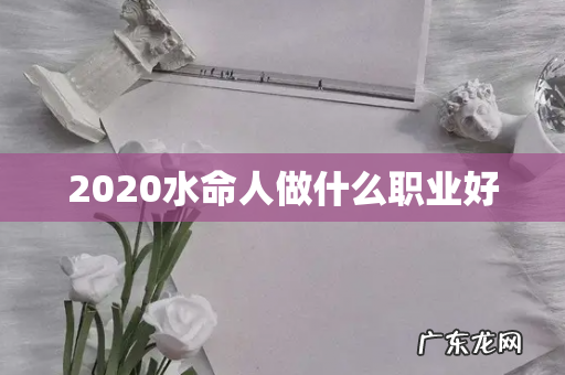 2020水命人做什么职业好