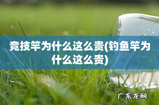 钓鱼竿为什么这么贵 竞技竿为什么这么贵