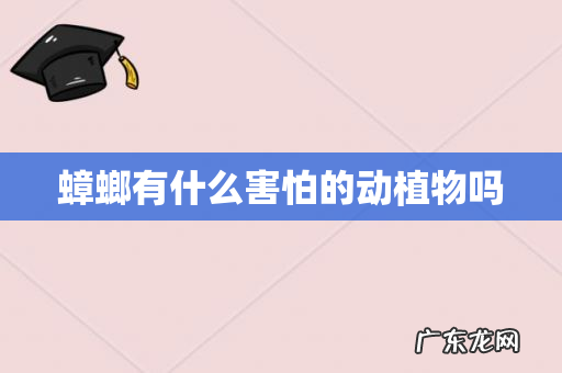 蟑螂有什么害怕的动植物吗