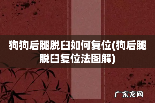 狗后腿脱臼复位法图解 狗狗后腿脱臼如何复位