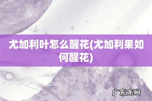 尤加利果如何醒花 尤加利叶怎么醒花