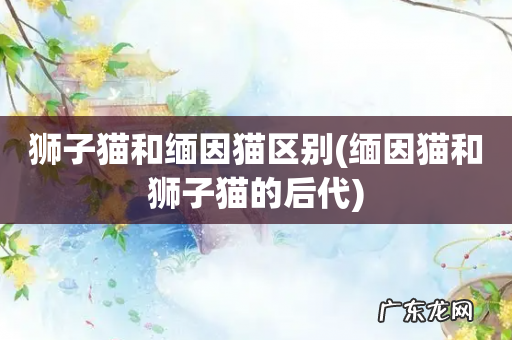 缅因猫和狮子猫的后代 狮子猫和缅因猫区别