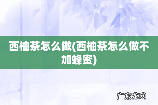 西柚茶怎么做不加蜂蜜 西柚茶怎么做