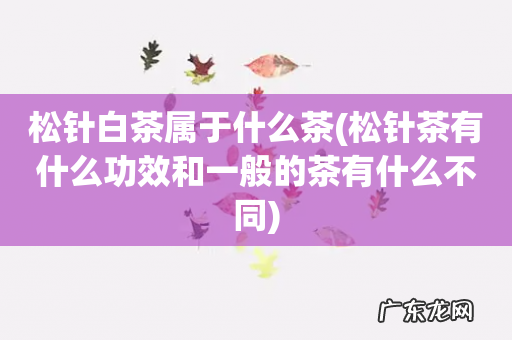 松针茶有什么功效和一般的茶有什么不同 松针白茶属于什么茶