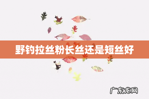 野钓拉丝粉长丝还是短丝好