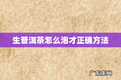 生普洱茶怎么泡才正确方法