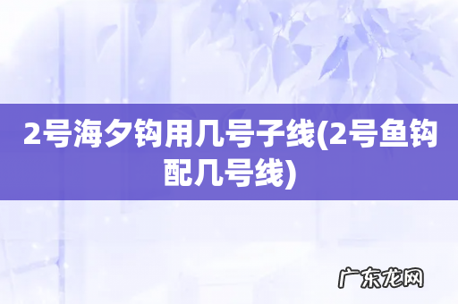 2号鱼钩配几号线 2号海夕钩用几号子线