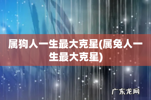 属兔人一生最大克星 属狗人一生最大克星