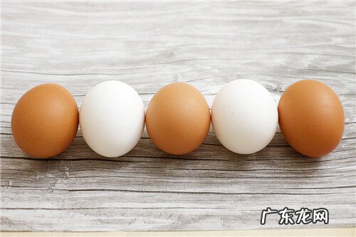 鸡蛋壳的主要物质 鸡蛋壳的主要成分是什么?