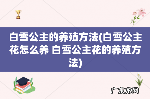 白雪公主花怎么养 白雪公主花的养殖方法 白雪公主的养殖方法