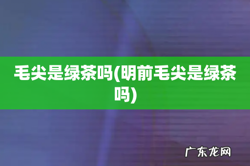 明前毛尖是绿茶吗 毛尖是绿茶吗