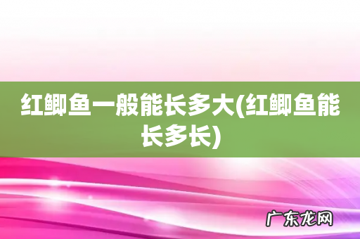 红鲫鱼能长多长 红鲫鱼一般能长多大