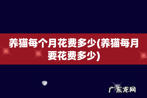养猫每月要花费多少 养猫每个月花费多少