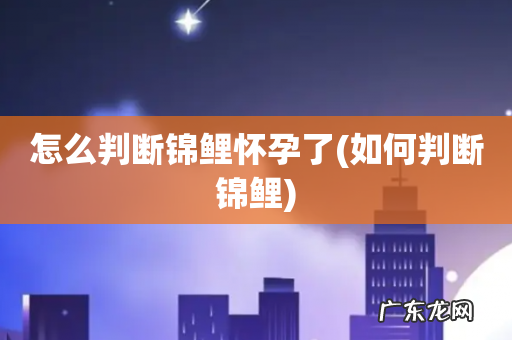 如何判断锦鲤 怎么判断锦鲤怀孕了