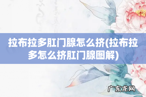 拉布拉多怎么挤肛门腺图解 拉布拉多肛门腺怎么挤